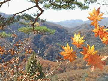 掛牌全篇澳門正版掛牌自動,“俄美兩國百年內(nèi)不太可能重建友誼”