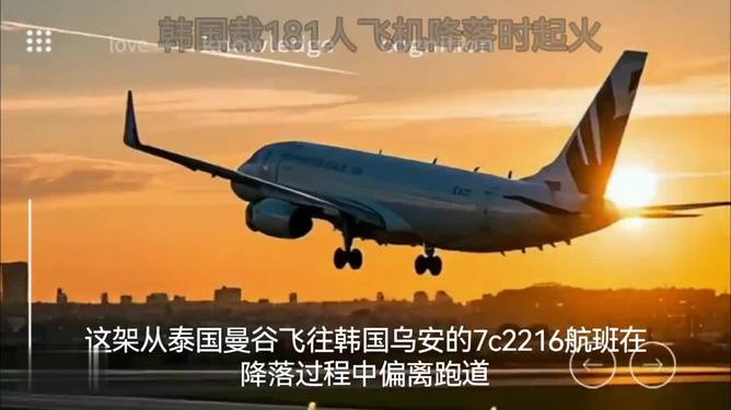 韓國載175人飛機降落時起火