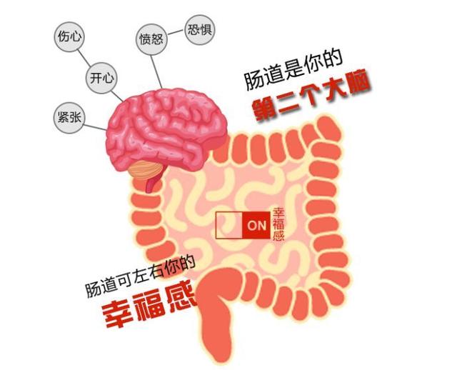 2025年2月 第2512頁(yè)