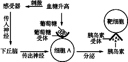 發(fā)燒是人體自帶的體溫調(diào)節(jié)系統(tǒng)