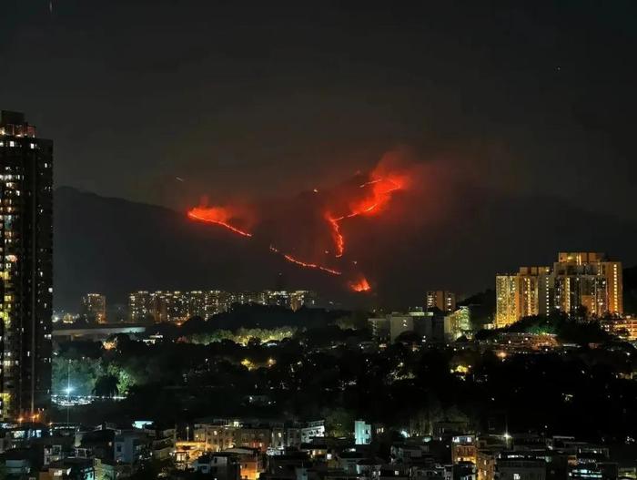 香港元朗山火已受控 無人員受傷報告