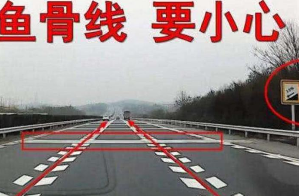 道路立桿上攝像頭密集？交警通報(bào)