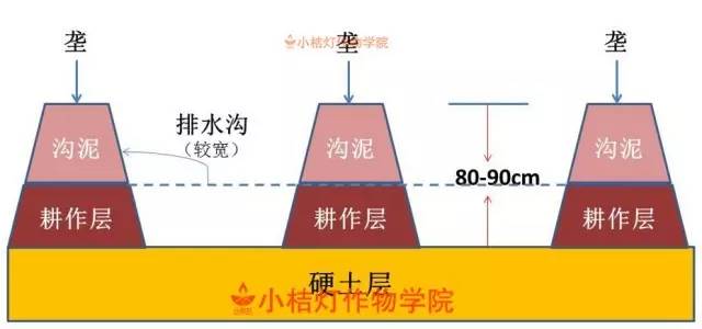 南京北站挖到古墓被停工？官方辟謠,穩(wěn)定性策略解析_P版85.81.59