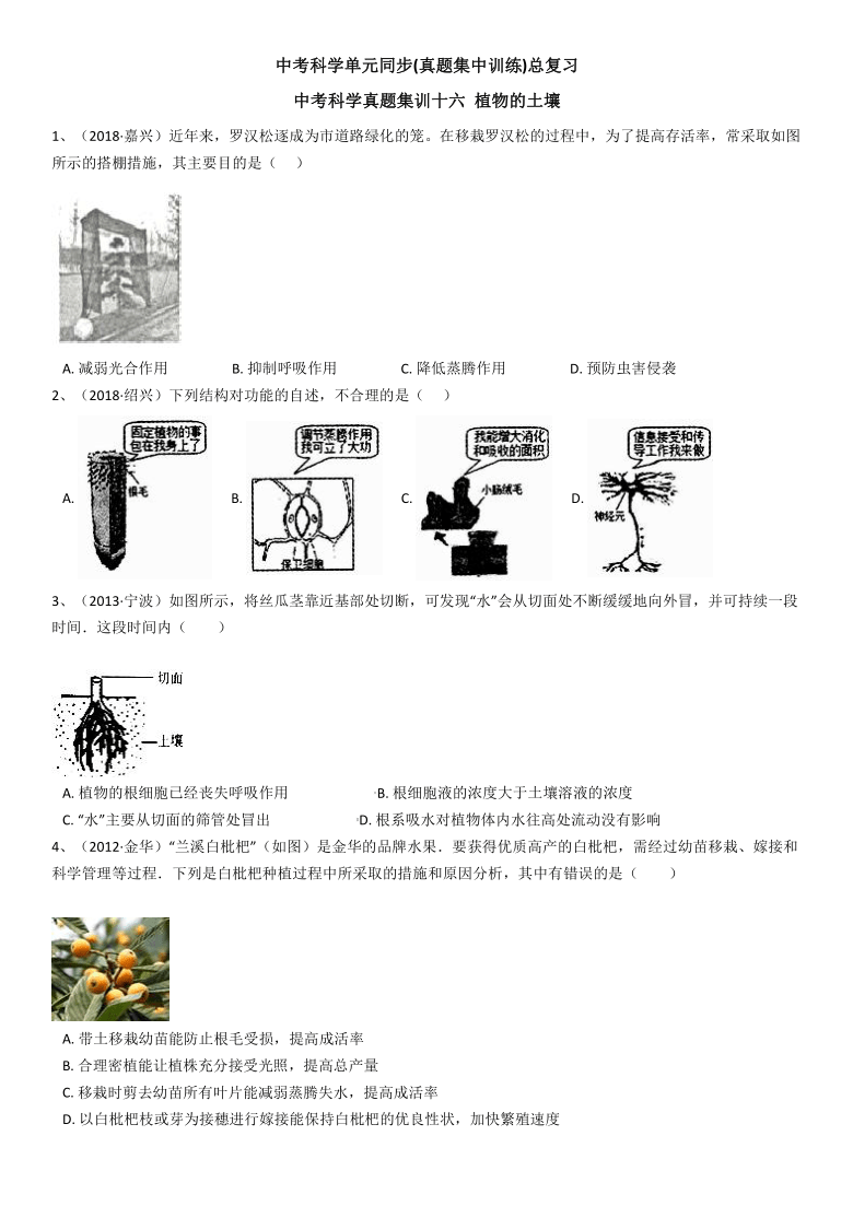 小魚兒玄機2,科學(xué)解析評估_專屬款21.67.40