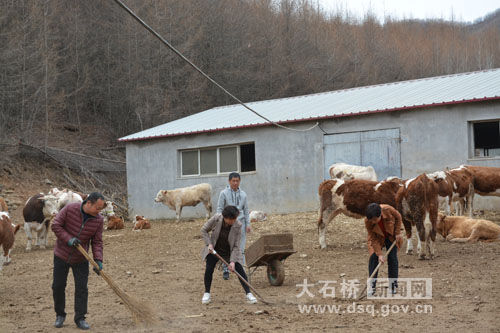 澳門傳真—澳門澳彩,小牛掉水溝 母牛哀鳴向旁人求助