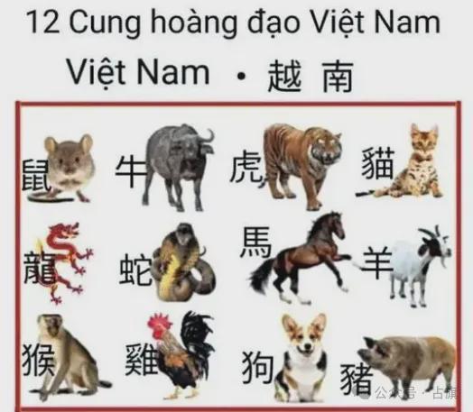 今期雞羊猴出特開出什么生肖號(hào)特,臺(tái)立法機(jī)構(gòu)又爆發(fā)沖突打成一團(tuán)