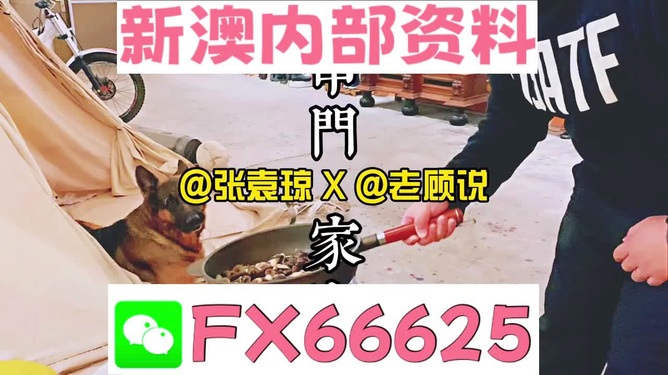 澳門管家婆全年正版資料大全,高葉怎么穿著鋼筆就上去了